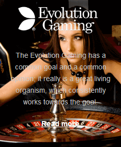 Evolution Gaming software