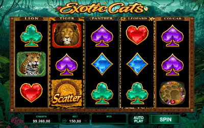 Exotic Cats slot