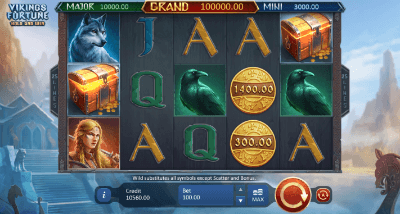 Vikings Fortune: Hold and Win slot