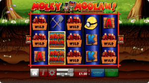 Moley Moolah wild reels