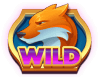 Foxpot wild