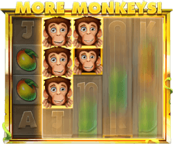 Loco the Monkey more monkeys